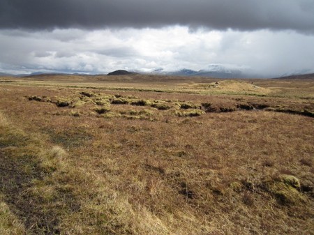 Looking east from near the base of Meall Tionail