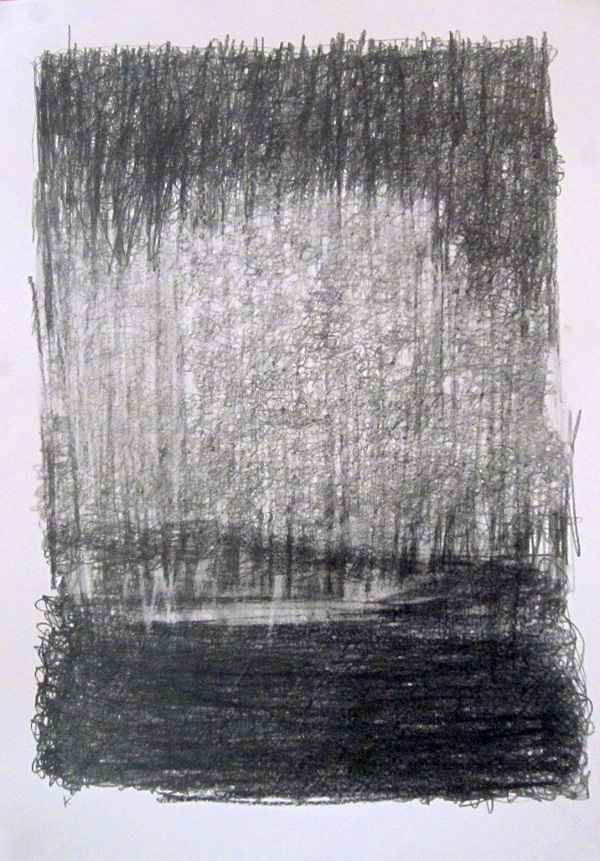 3-east-from-ba-cottage-early-morning-graphite-stick-on-paper-2013