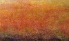 \'Autumn colours, Glen Lyon\', Acrylic & Pastel, 2008, 100