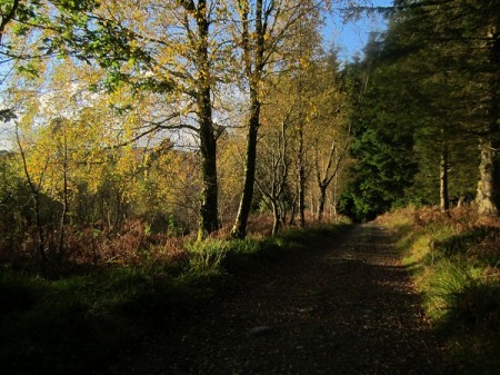 Autumn colours, late afternoon near Brodick Castle