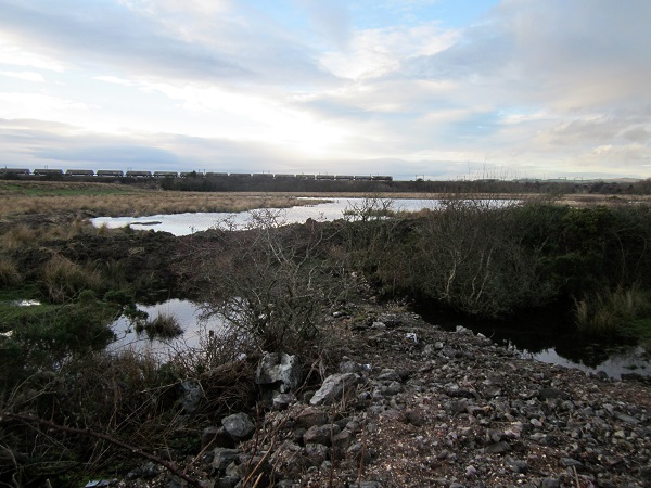 Wetlands on the River Garnock near Kilwinning